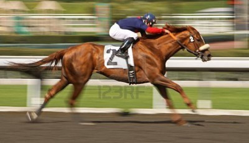 6572307-motion-blur-of-racing-horse-and-rider 6572307-motion-blur-of-racing-horse-and-rider