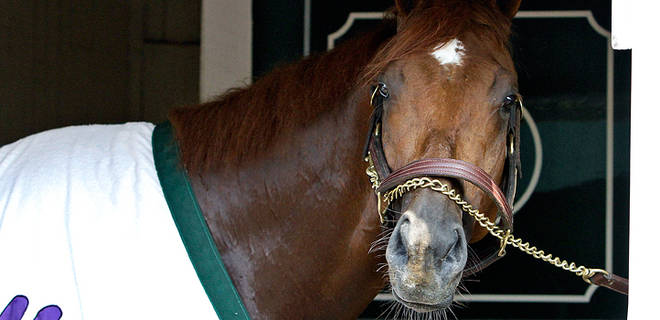 051712-Horse-Racing-Ill-Have-Another-PI_20120517094636935_660_320