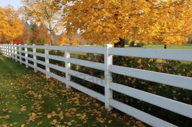 11248644-white-fences-in-a-countryside