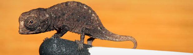 7ABE3519A0ED267C58C5724A71A4