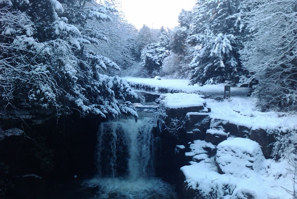Jesmond-Dene-Snow-Scene