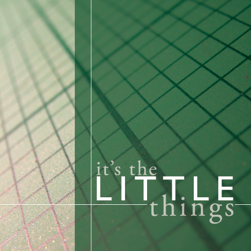 The-little-things