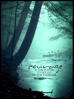 45215-courage