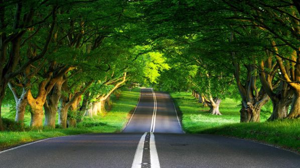 Spring-green-road-landscape-free-desktop-598x336