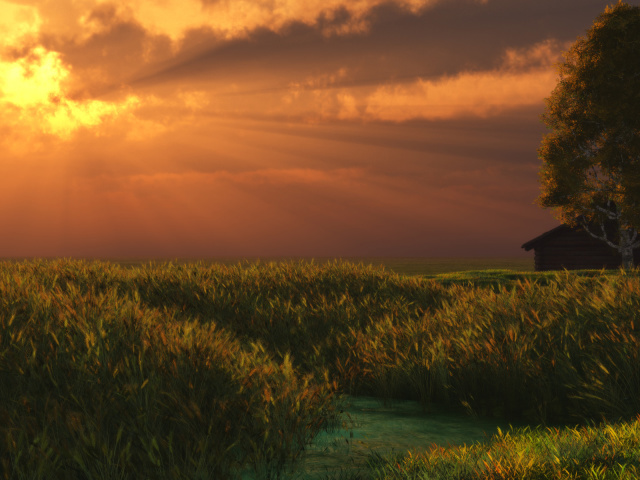 Nature_Sundown_Summer_evening_016409_29