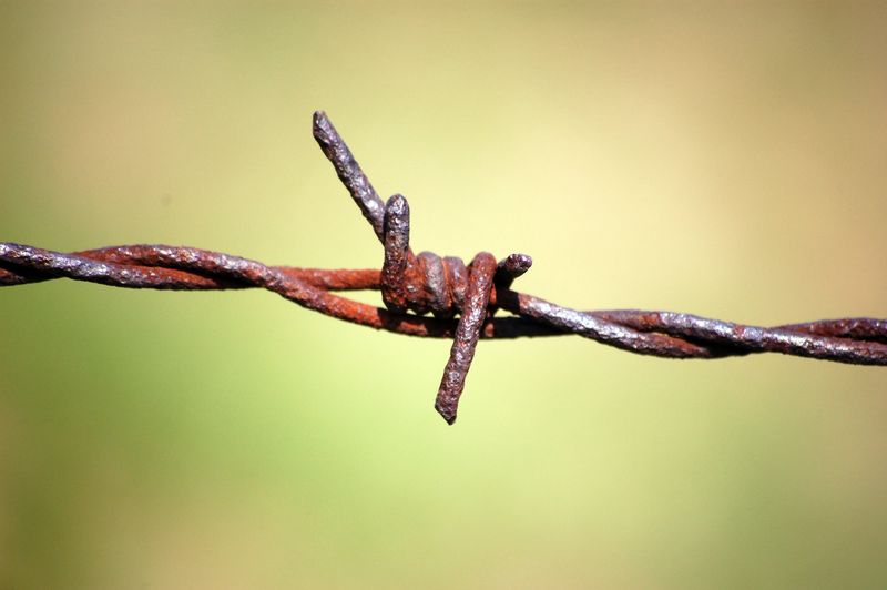 Barbed-wire