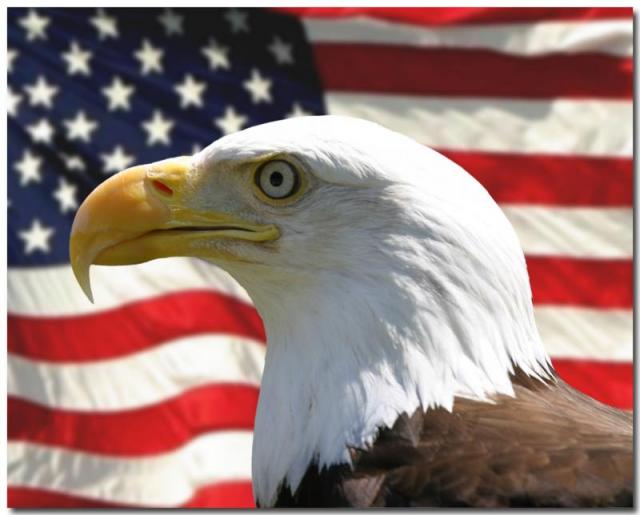 30330406_EaglewithFlagcopy_preview