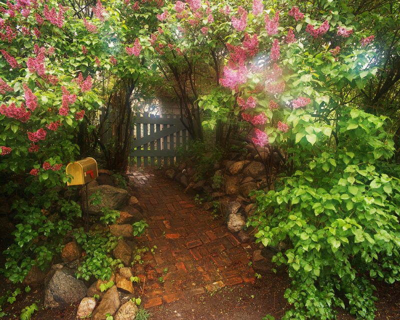 Garden-gates-microsoft-clip-art