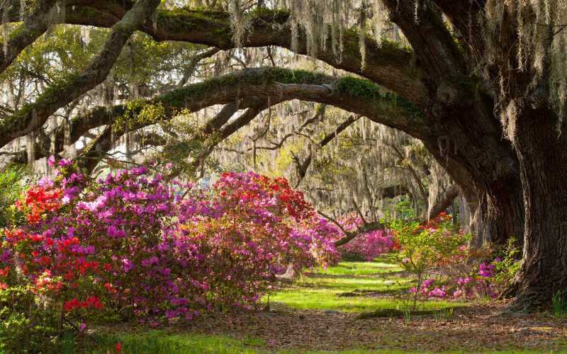 Latest-garden-wallpaper_090704742_195