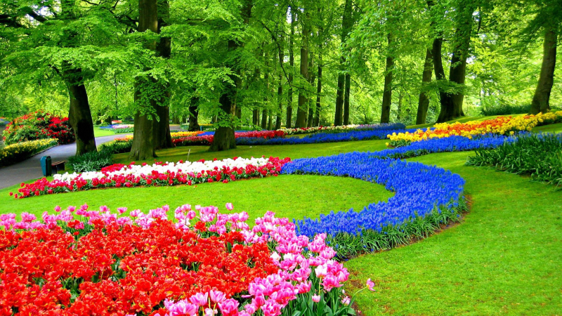 Backgrounds-hd-desktop-7160dn4dj-1s-1920x1080