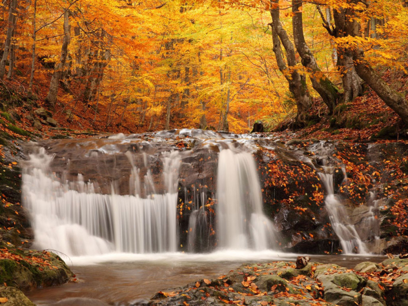 Waterfalls Scenery Wallpapers (3)