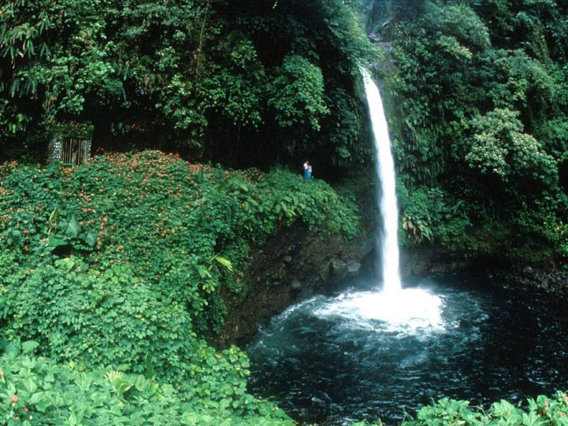 Costerica Waterfalls Images
