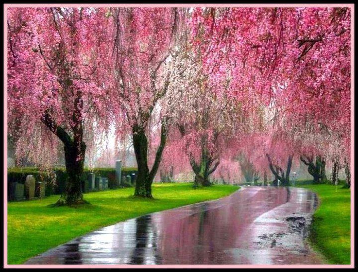 9fd67d127cc9d812cf2d35505a2c10bf