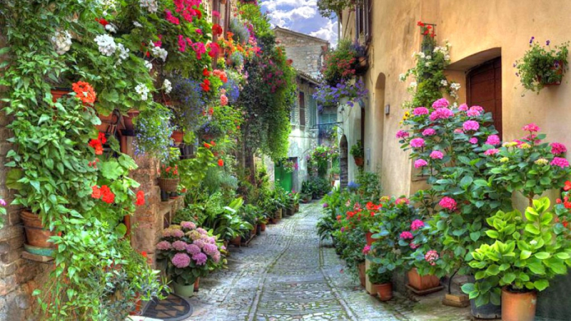 563429-1366x768-Spello-Italy