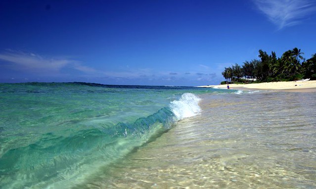 115906972_8c6e9d267d_z