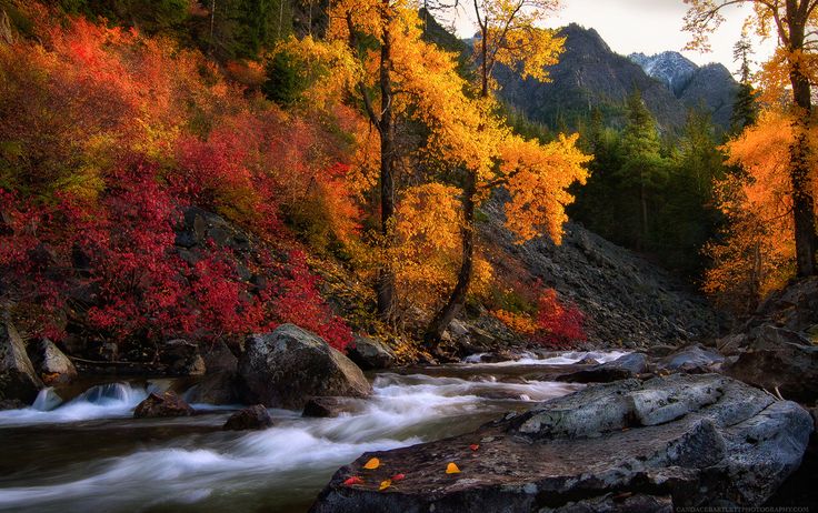 7b561194ac47bbfaeef1debdf90ff269