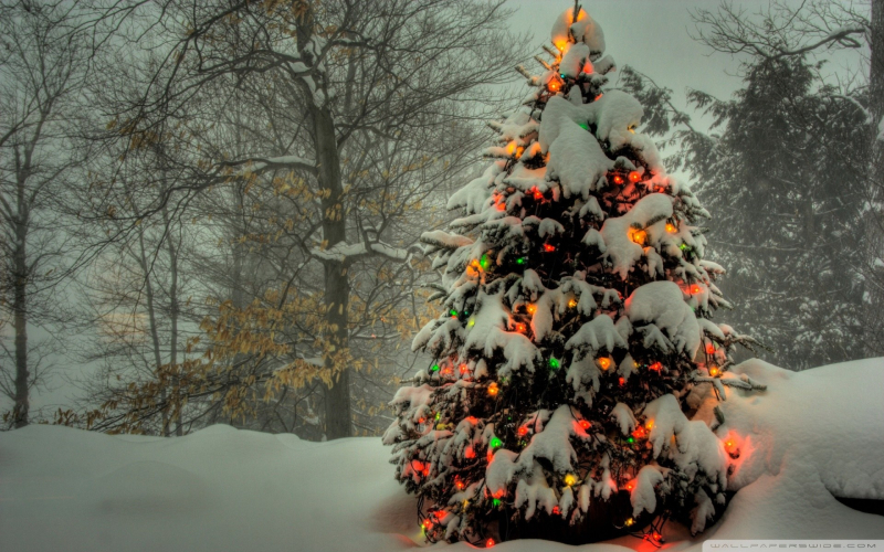 Christmas-Tree-Wallpapers-for-Windows-8-4