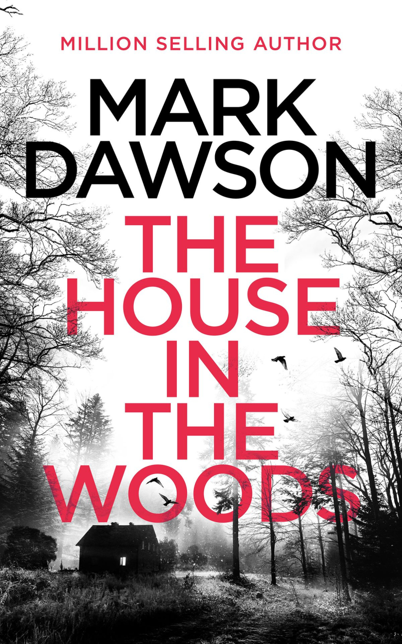 The-house-in-the-woods-2