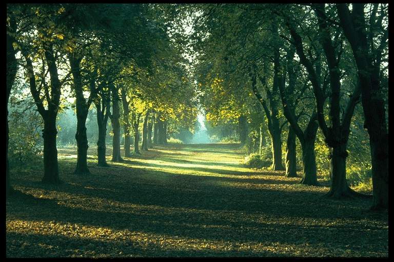 Download (21) Download (21)