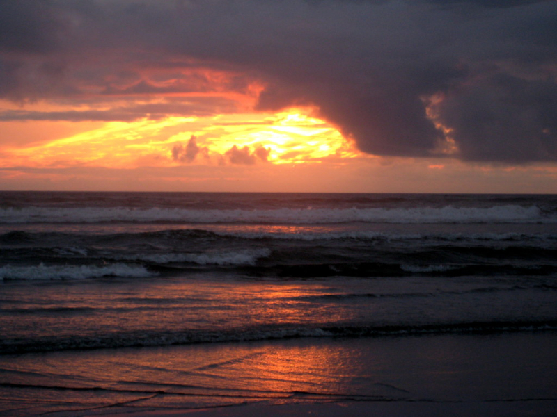 2773255836_4a03e6447e_b-680525718